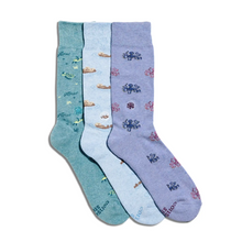 Load image into Gallery viewer, Conscious Step Box Set Socks