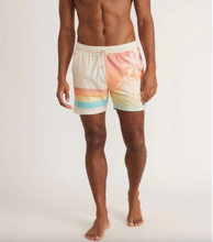 Load image into Gallery viewer, Marine Layer Ombre Palm Shorts
