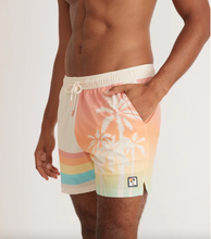 Load image into Gallery viewer, Marine Layer Ombre Palm Shorts
