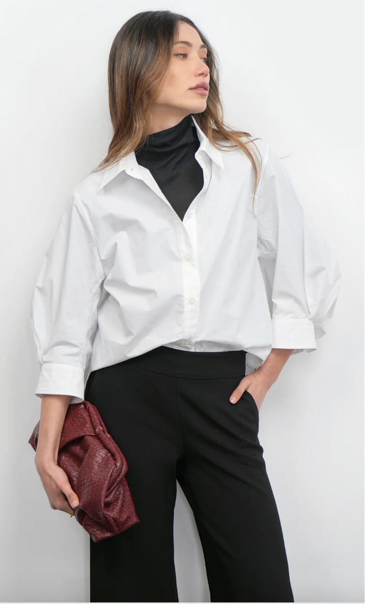 Greylin Thea Oversized Lantern Sleeve Blouse