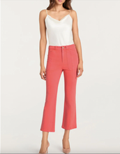 Load image into Gallery viewer, Cinq à Sept Fly Front Wallace Jeans
