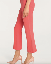 Load image into Gallery viewer, Cinq à Sept Fly Front Wallace Jeans
