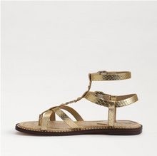 Load image into Gallery viewer, Sam Edelman Talya Gladiator Sandal
