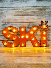 Load image into Gallery viewer, Ski Lighted Metal Sign
