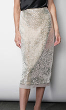 Load image into Gallery viewer, Greylin Gianna Velvet Sequin Midi Skirt

